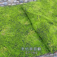 uploads/erp/collection/images/Home Garden/dgjiawang/XU0612893/img_b/XU0612893_img_b_3